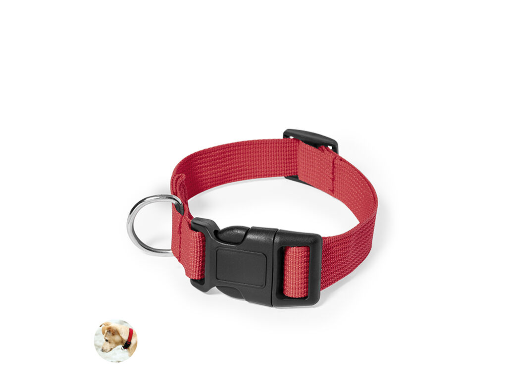 Collar Mastif